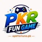 PKR FUN GAME
